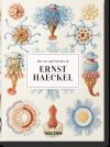 Ernst Haeckel ? 40