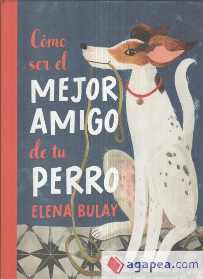 Cómo ser el mejor amigo de tu perro