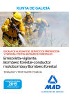 Escala De Auxiliar Del Servicio De Prevención Y Defensa Contra Incendios Forestales (especialidades Emisorista/vigilante, Bombero Forestal-conductor Motobomba Y Bombero Forestal) De La Comunidad Autónoma De Galicia. Temario Y Test Parte