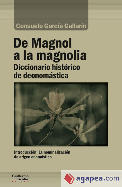 De Magnol a la magnolia