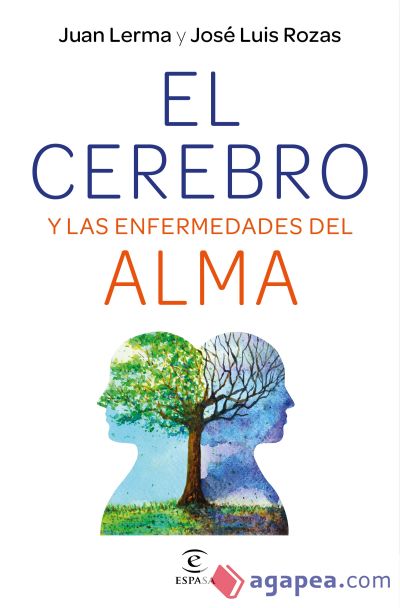 El cerebro y las enfermedades del alma