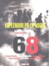 Esplendor en la noche
