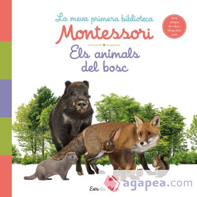 Els animals del bosc. La meva primera biblioteca Montessori