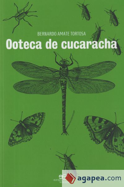 OOTECA DE CUCARACHA
