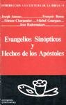 Evang&eacute;lios sin&oacute;pticos y Hechos de los Ap&oacute;stoles