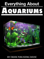 Portada de Everything About Aquariums (Ebook)