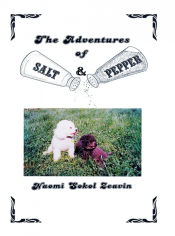 Portada de The Adventures of Salt & Pepper