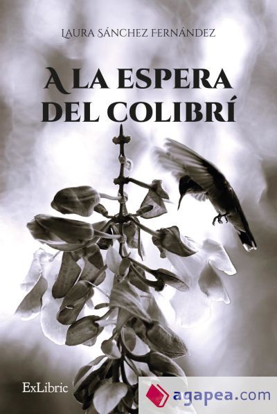 A LA ESPERA DEL COLIBR&Iacute;