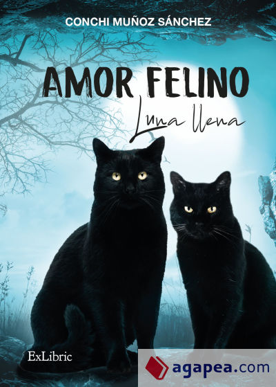 AMOR FELINO. LUNA LLENA