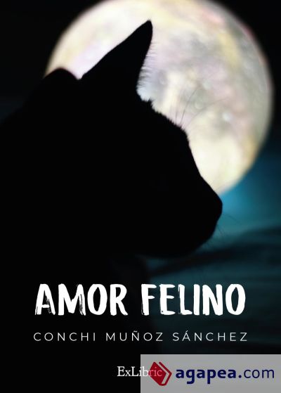 AMOR FELINO