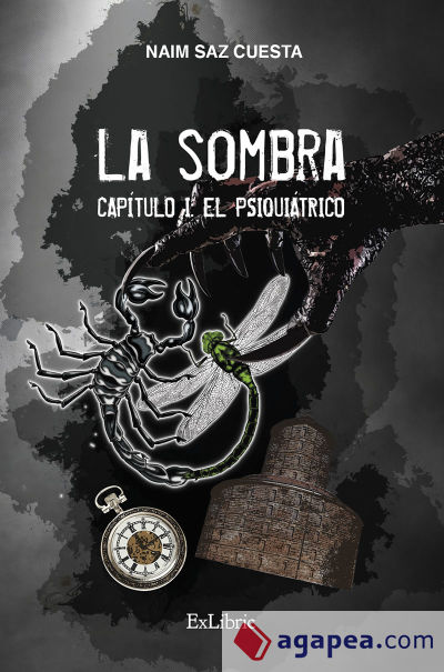 LA SOMBRA. CAPÍTULO I: EL PSIQUIÁTRICO