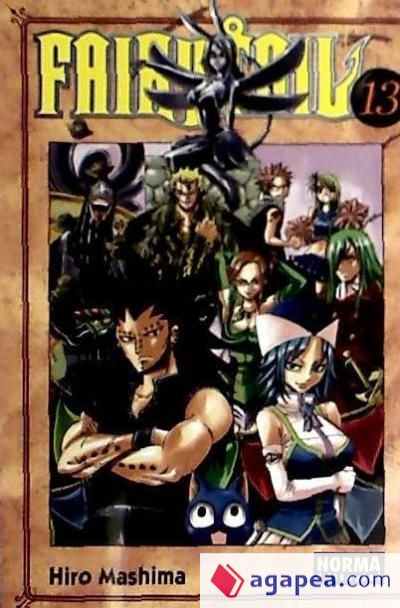 FAIRY TAIL 13