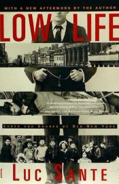 Portada de Low Life: Lures and Snares of Old New York