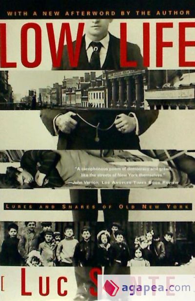 Low Life: Lures and Snares of Old New York