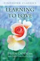 Portada de Learning to Love