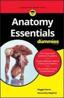Portada de Anatomy Essentials for Dummies