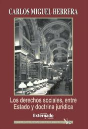 Portada de Los derechos sociales, entre Estado y doctrina jurídica