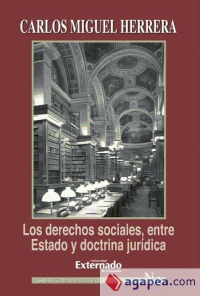 Los derechos sociales, entre Estado y doctrina jurídica