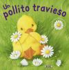 Fábulas ilustradas. Un pollito travieso