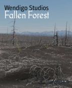Portada de Fallen Forest (Ebook)
