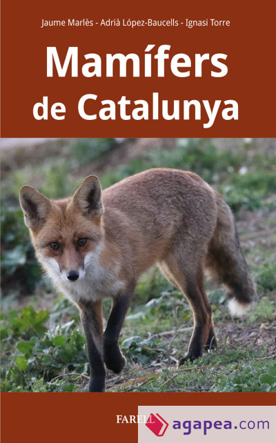 Mamífers de Catalunya