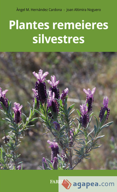 Plantes remeieres silvestres