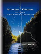 Portada de Mouches Volantes (Ebook)