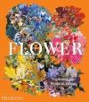 Flower: Exploring the World in Bloom