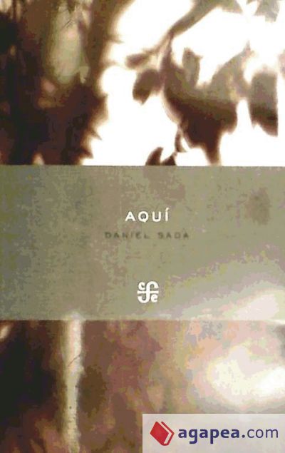 Aquí