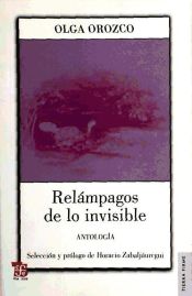 Portada de Relámpagos de lo invisible. Antología