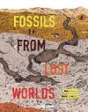 Fossils from Lost Worlds