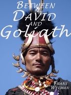 Portada de Between David and Goliath (Ebook)