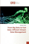 From Big Data to Fast Data