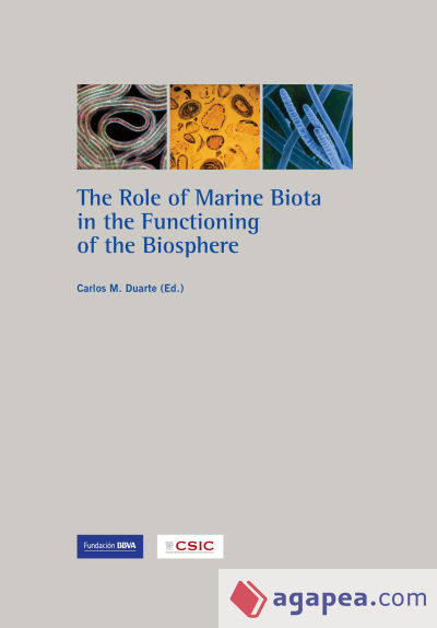 The role of Marine biota in the functioning of the Biosphere