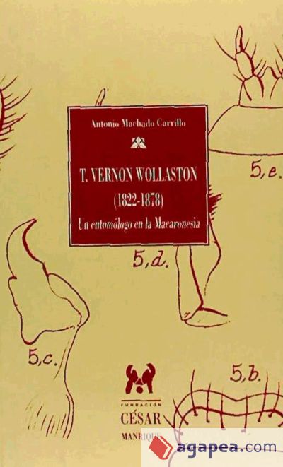 T.VERNON WOLLASTON (1822-1878)