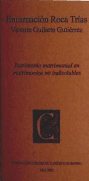 Portada de Patrimonio matrimonial en matrimonios no indisolubles