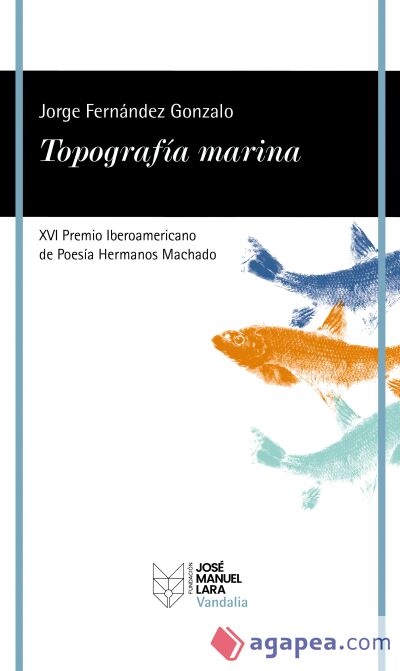Topografía marina Topografía marina