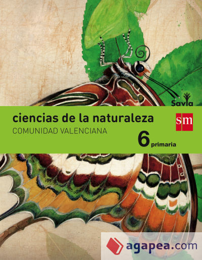 Ciencias de la naturaleza, 6 Primaria, Savia