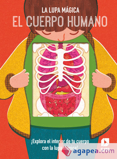 El cuerpo humano