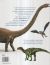 Contraportada de El libro de los dinosaurios, de Dorling Kindersley Limited