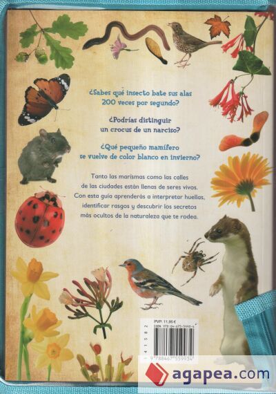 Gu&iacute;a de campo