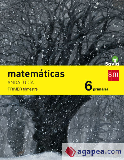 Matemáticas, 6º Primaria