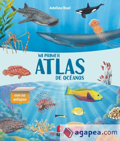 Mi primer atlas de océanos Mi primer atlas de océanos