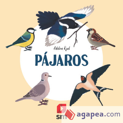 Pájaros