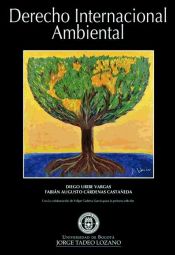 Derecho Internacional Ambiental (Ebook)