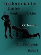 Portada de In dominanter Liebe - Band 1: Die Probezeit (Ebook)