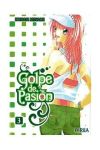 GOLPE DE PASION 03 ( DE 8 ) (COMIC)