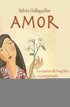 Portada de Amor (Ebook)