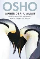 Portada de Aprender a amar (Ebook)