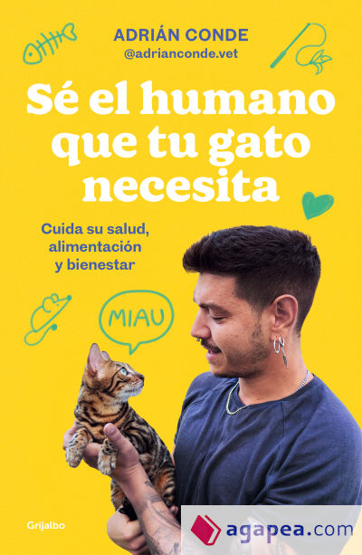 Sé el humano que tu gato necesita. Cuida su salud, alimentación y bienestar